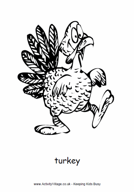 turkey colouring page turkey pics pinterest turkey cartoon and