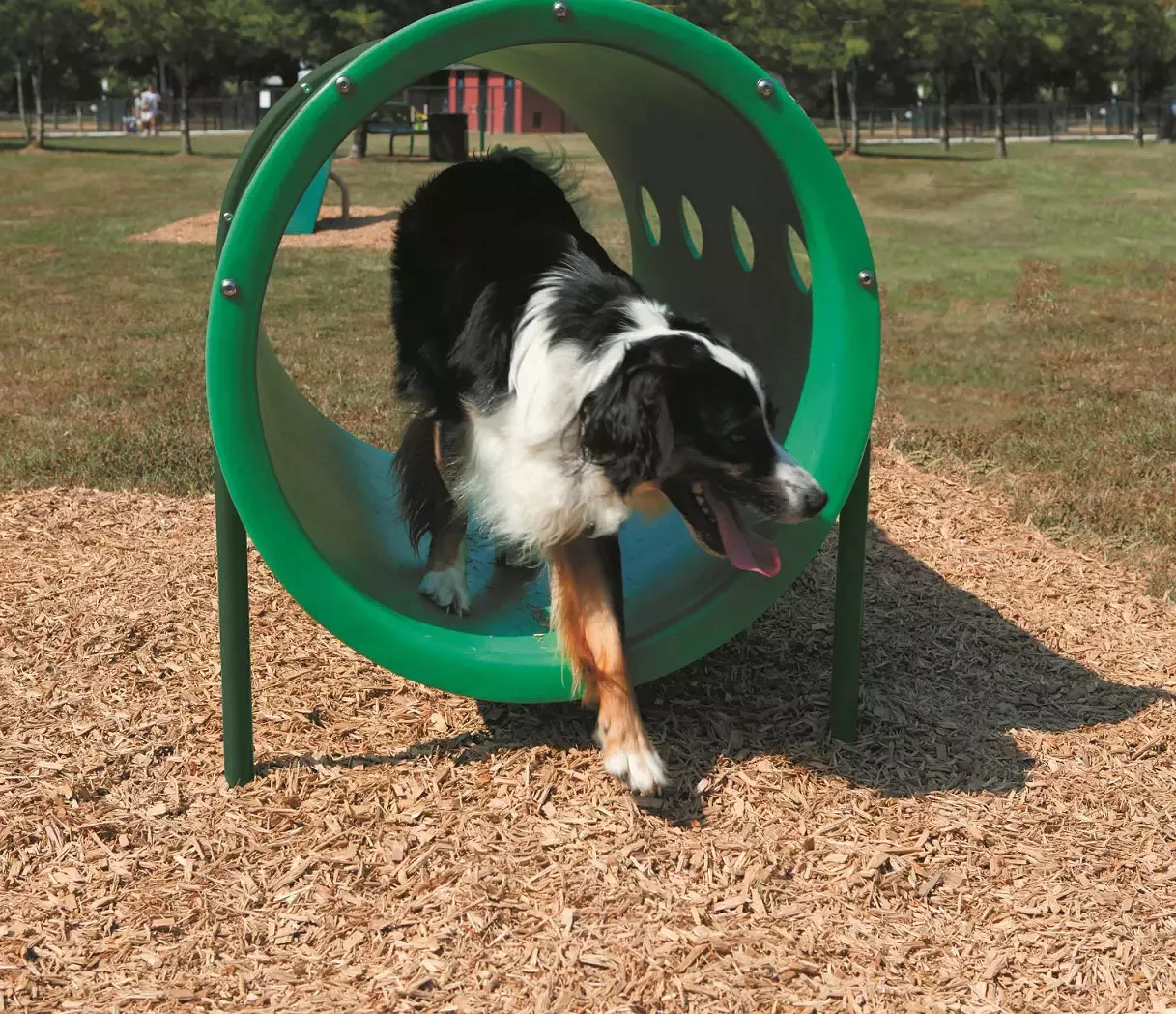 Luxuriant How To Build A Dog Run Line Luxuriant How To Build A Dog Run Line