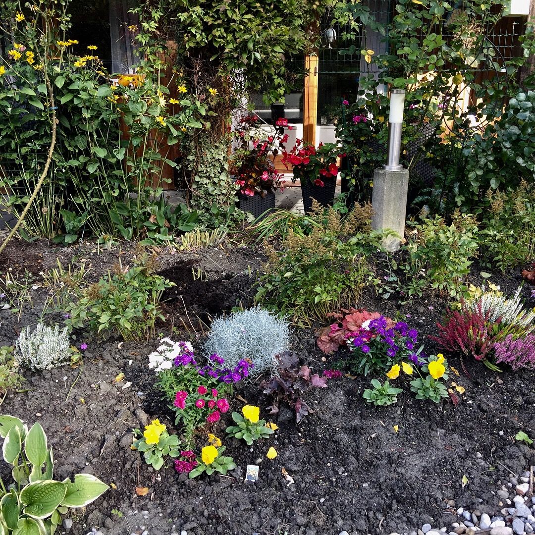 Beet Garten Neues Beet | Garten, Beete, Vielfalt