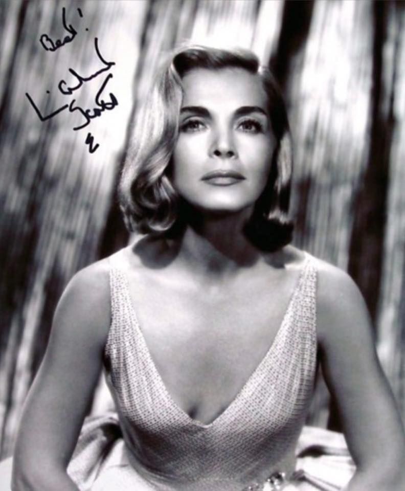 lizabeth scott lizabeth scott hollywood legends lizabeth scott lizabeth scott hollywood legends