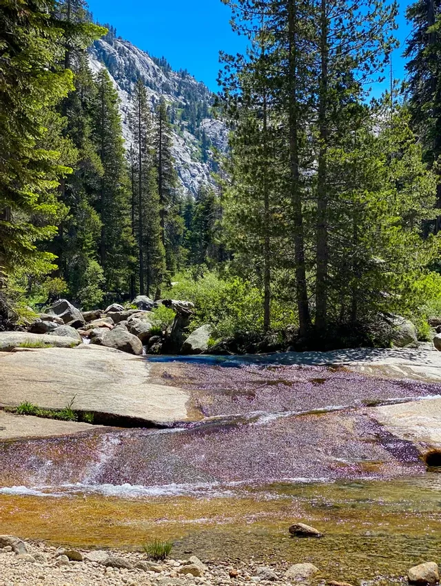 Sequoia National Park. Things You Can't Miss On Your First Visit Sequoia National Park Map, National Parks Map, The Meadows, Weekend Getaways, Trail, Hiking, Visiting, Canning, Background