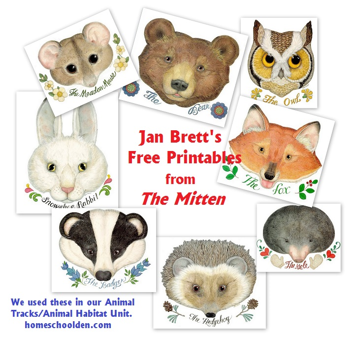 Forest Biome: The Mitten - Activities