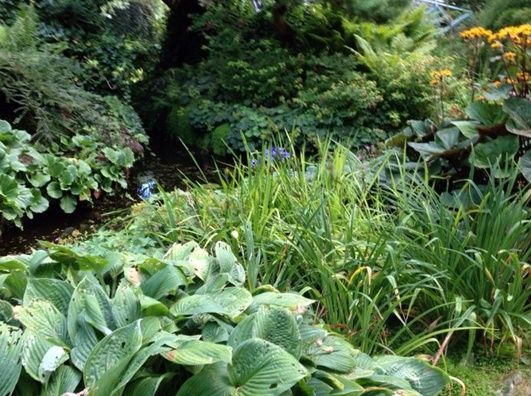 Pflegeleichten Garten mit üppigen Beeten anlegen Grills, Garten - pflegeleichter garten anlegen Pflegeleichten Garten mit üppigen Beeten anlegen Grills, Garten - pflegeleichter garten anlegen