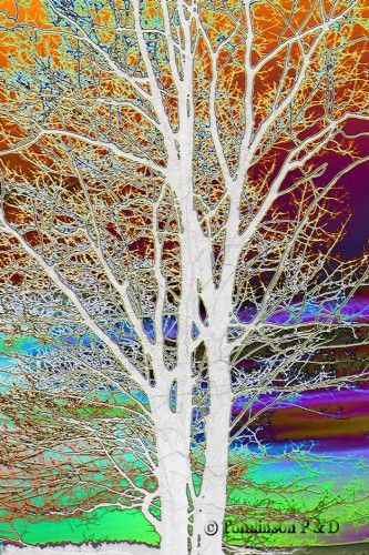 Abstract Colorful Tree Abstract Colorful Tree