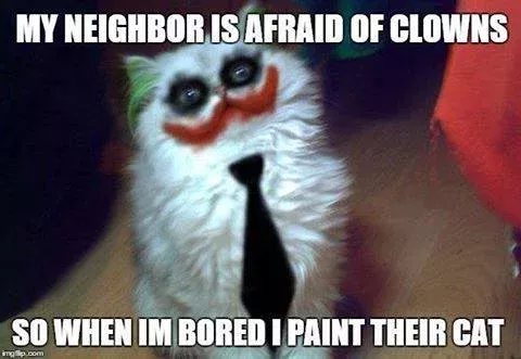 my neighbo u r is afraid of clowns crazy cat lady pinterest