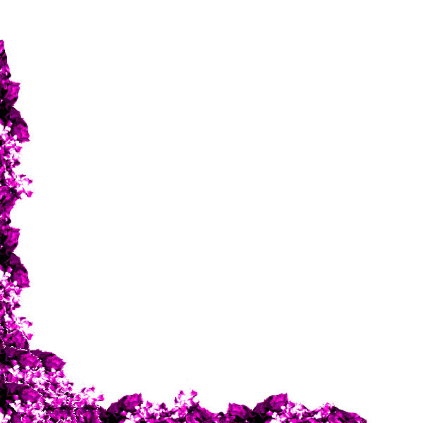purple border design