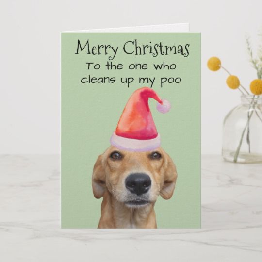 Merry Christmas From The Dog Funny Humor Card | Zazzle.com in 2021