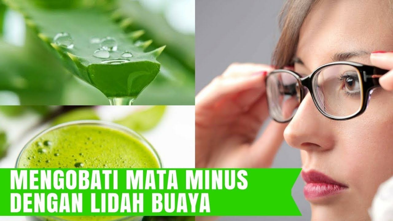 Cara Mengobati Mata Minus Dengan Lidah Buaya Terkait Mata