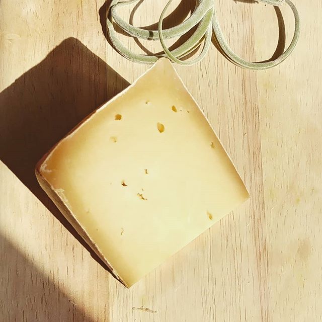Fontina. Das Original aus dem Aostatal. . . . #käse #käseliebe #käselover #ichliebekäse #feinschmecker #feinkost #genusspur #genussmomente #fontina #italienischeküche #italienischerkäse #okäse #fonduecheese