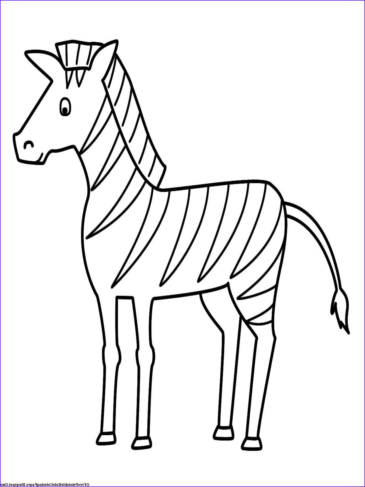 Pin by Winnie Gergel on Drawing HORSES Zebra coloring