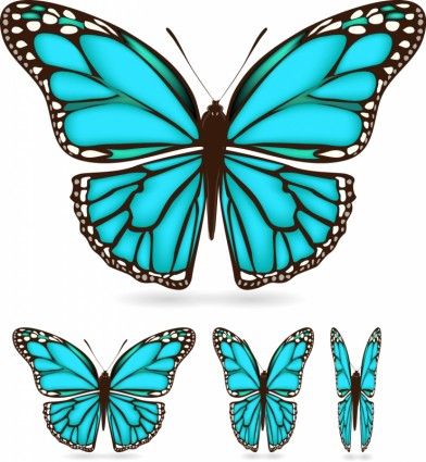 Shield Wing Pattern Vector Nonoriginal Works Free Vector In