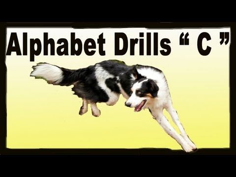 Agility Dog Training Alphabet Drills Pam S Dog Academy Www