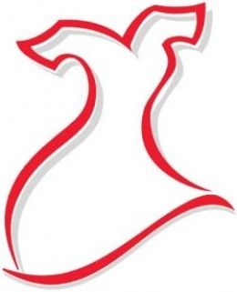 Women S Heart Health Pins Go Red For Disease Women S Heart Health Pins Go Red For Disease Awareness Dress Pin Ebay