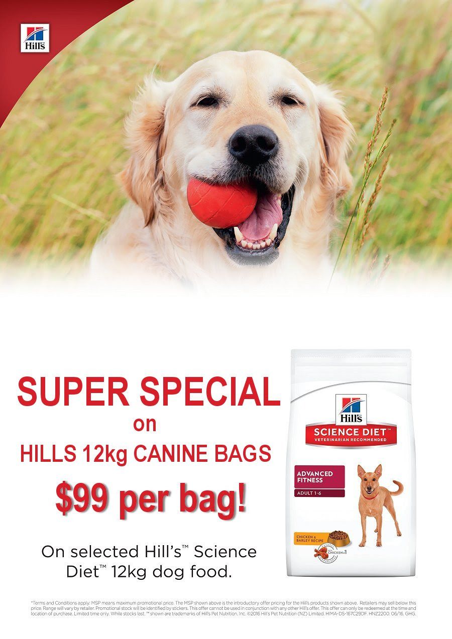Bargain 99 Selected Hills Science Diet Dog Food My Vet