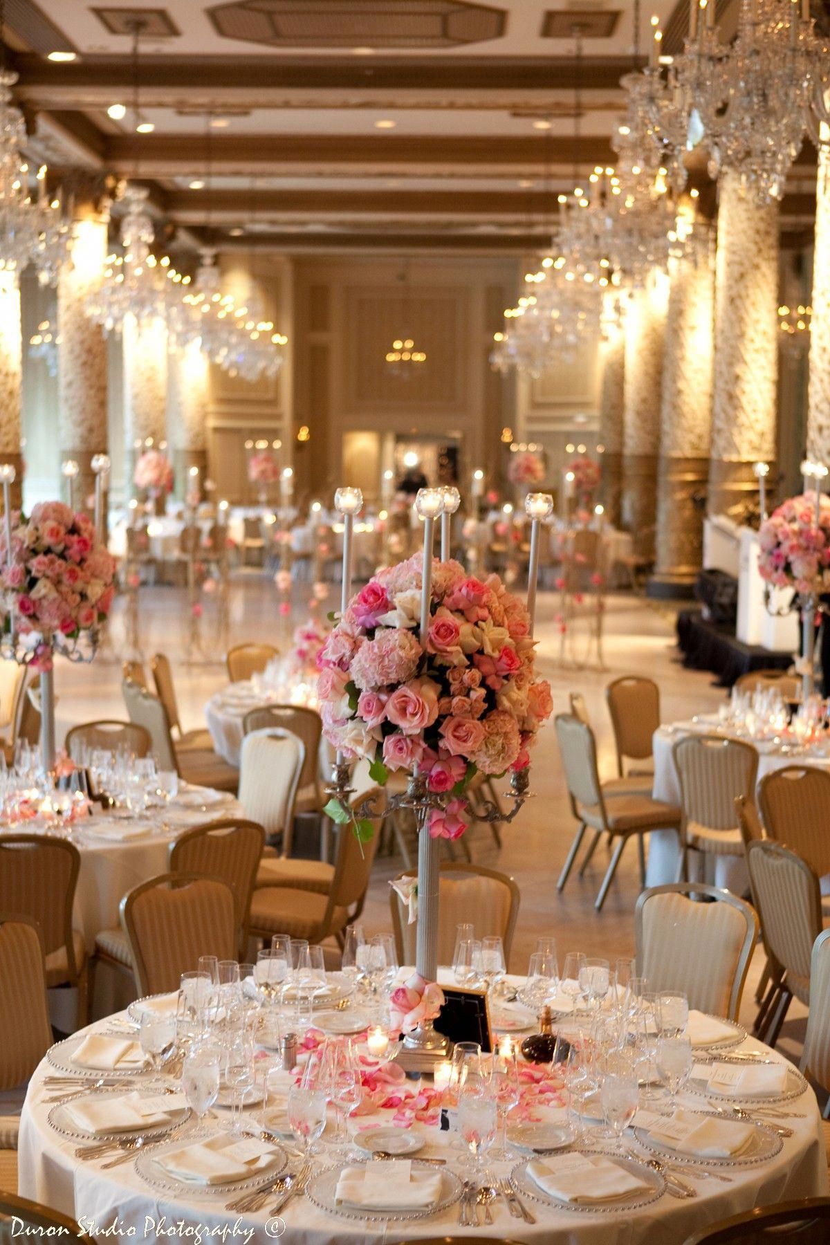 Wed101 Chicago Wedding Venues The Drake 383 Chicago Wedding Venues Chica Wedding Reception Venues Indoor Wedding Reception Venues Wedding Venues Indoor Wed101 Chicago Wedding Venues The Drake 383 Chicago Wedding Venues Chica Wedding Reception Venues Indoor Wedding Reception Venues Wedding Venues Indoor