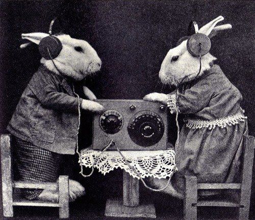 Rabbit Wireless Jpg 500 432 ウサギ オタクアート うさぎ Rabbit Wireless Jpg 500 432 ウサギ オタクアート うさぎ
