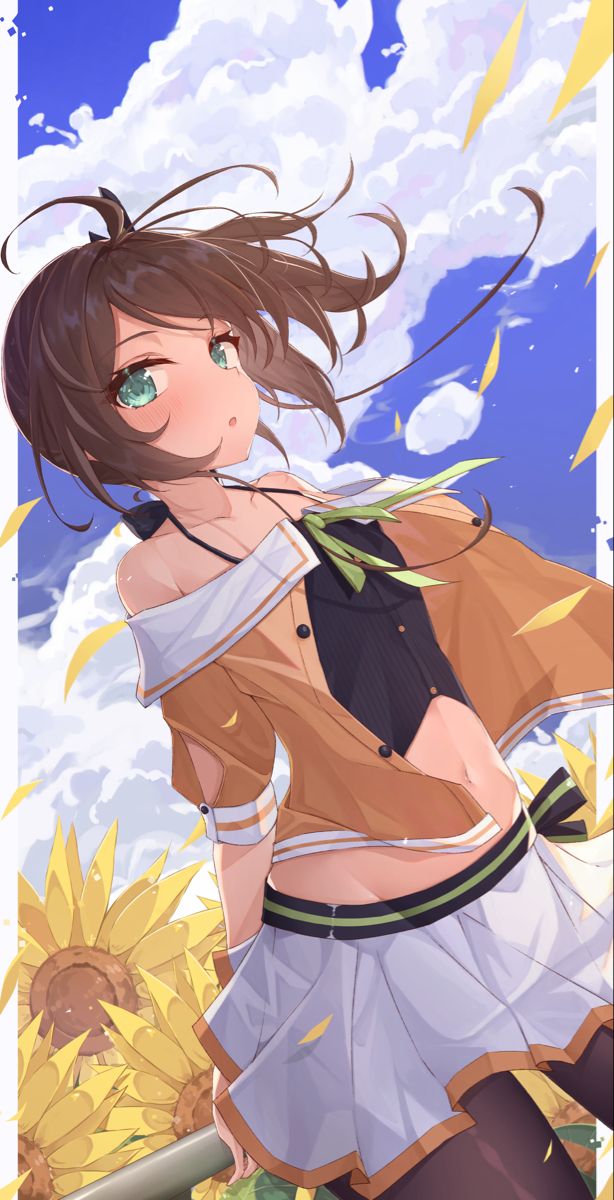 Natsuiro Matsuri かわいい女の子の壁紙 アニメのネコ イラスト Natsuiro Matsuri かわいい女の子の壁紙 アニメのネコ イラスト