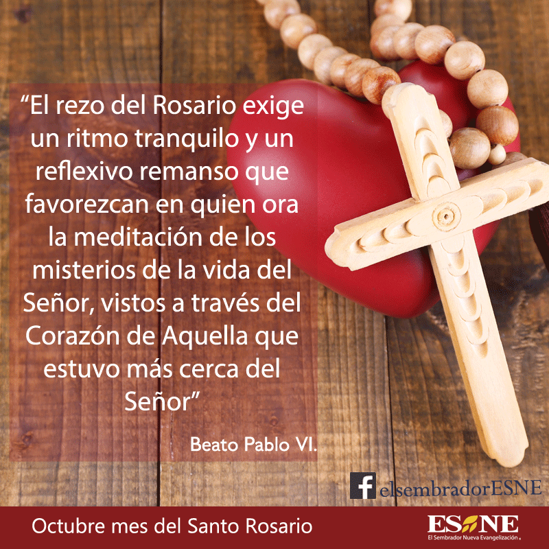 Mes Del Rosario El Sembrador Esne Www Elsembrador Org Rosarios Oraciones Frases Del Rosario