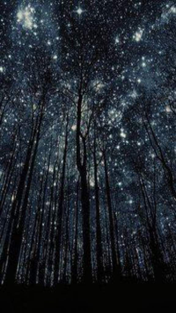 Get Most Downloaded Black Wallpaper for Smartphones 2019 Get Most Downloaded Black Wallpaper for Smartphones 2019