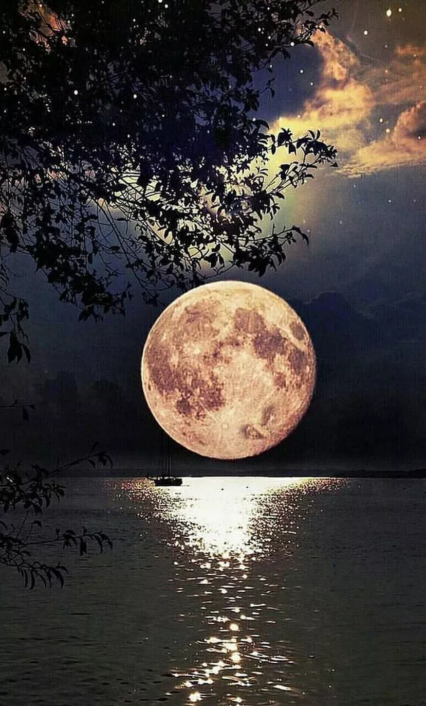 Fine Beautiful Moon Moonlight Photography Fine Beautiful Moon Moonlight Photography