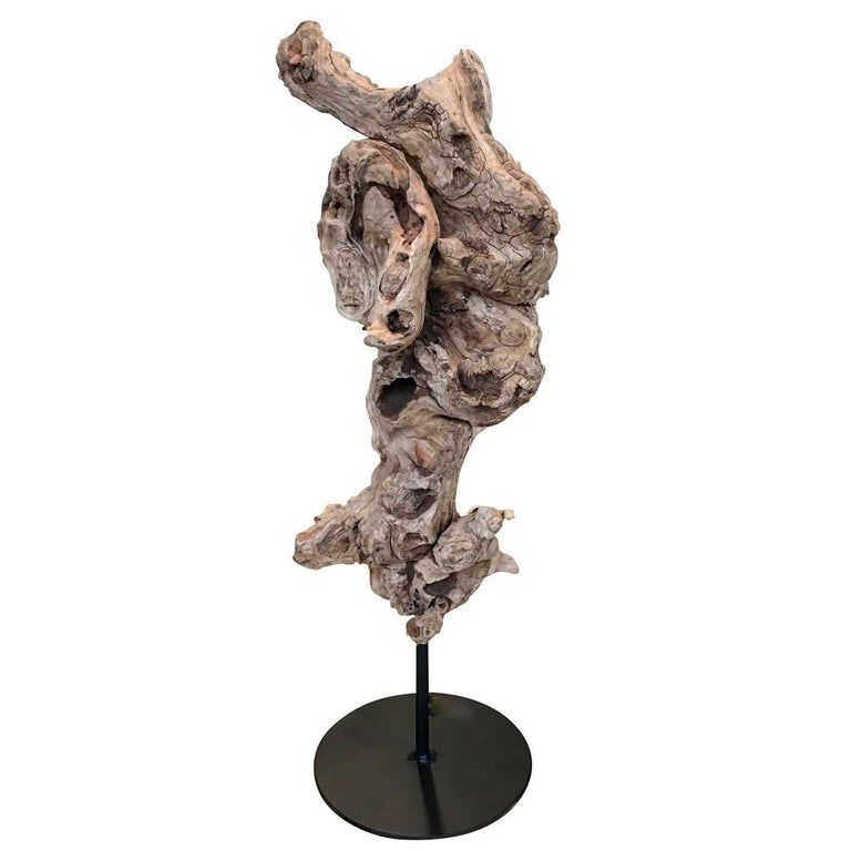 IMAX 70253 Berne Drift Wood Sculpture IMAX 70253 Berne Drift Wood Sculpture