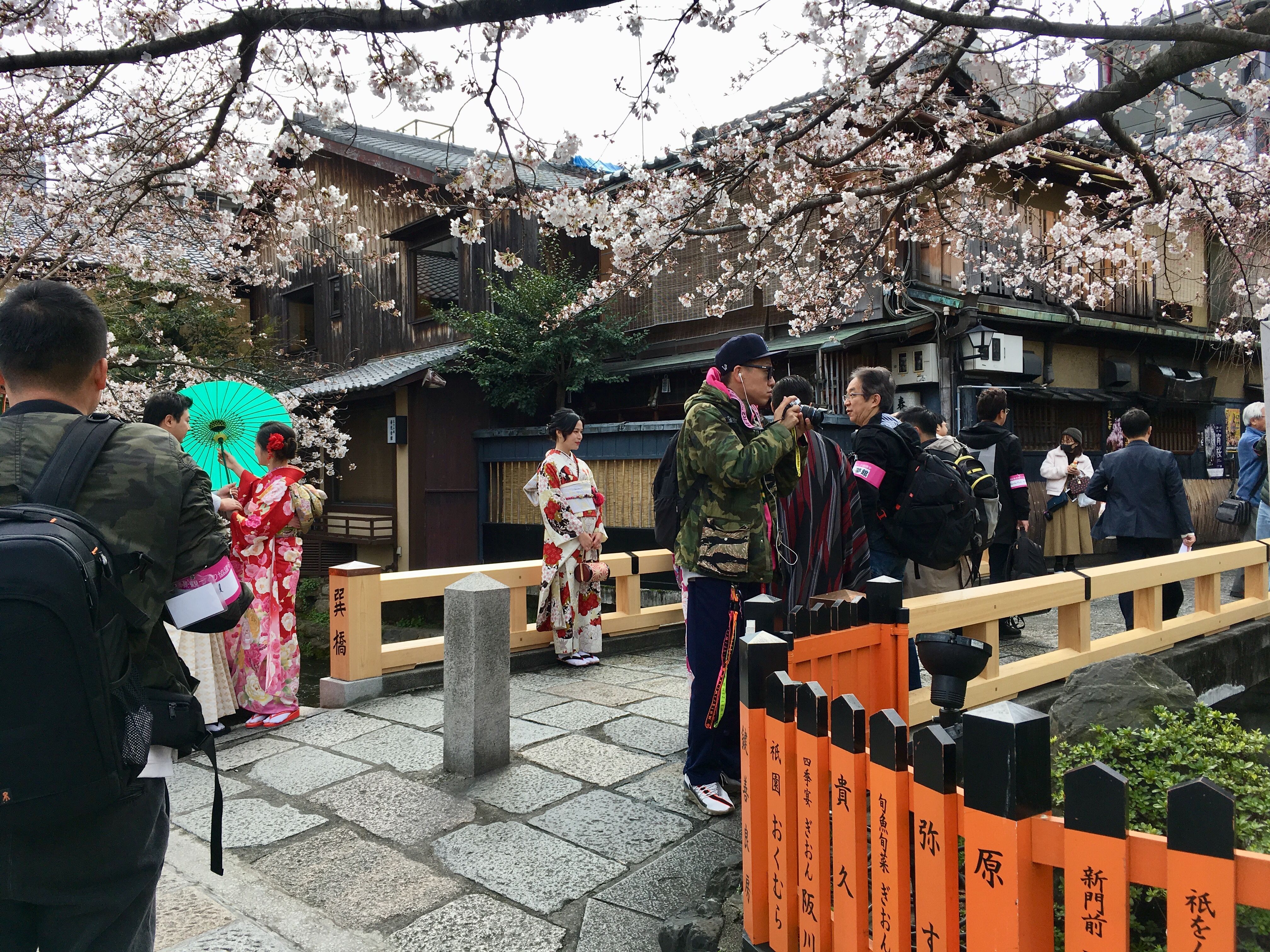 Pin By Kate Ku On 19 4 1 4 5 京都 櫻自遊
