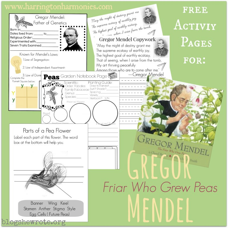 What Gregor Mendel & Growing Peas Can Teach Us about