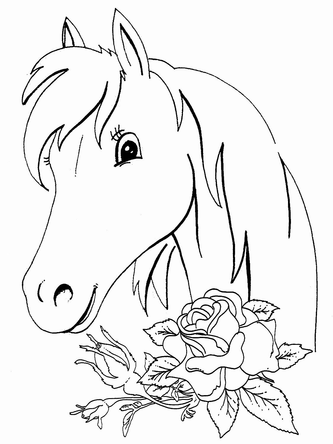 Horses Coloring Pages for Adults New Horses Coloring Pages