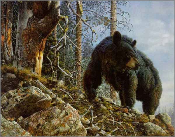 "A bear with cubs in the forest, dawn" - image created in Shedevrum