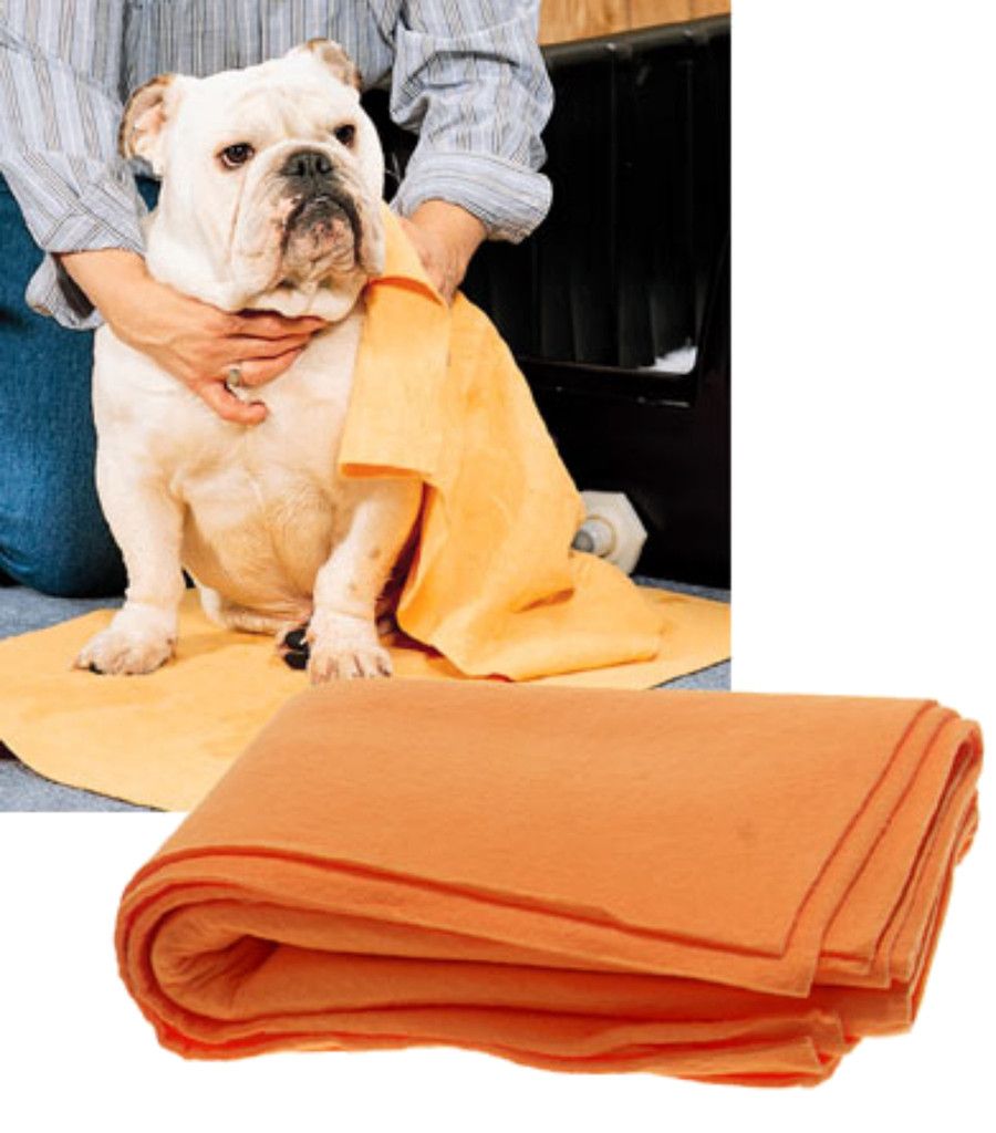 Serviette Pour Animaux Humanimalite Bulldog French Bulldog Animals Serviette Pour Animaux Humanimalite Bulldog French Bulldog Animals