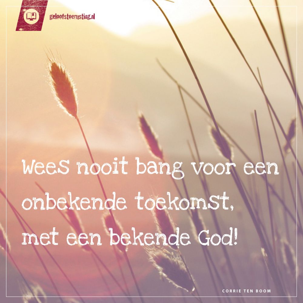 Wees nooit bang voor een onbekende toekomst met een bekende God! #geloofstoerustig #jesus #amen #corrietenboom #future #toekomst Follow us on facebook: www.facebook.com/geloofstoerusting Corrie Ten Boom, Jesus Loves Me, Happy Women, Bible Quotes, Amen, Texts, Believe, Faith, Neon Signs