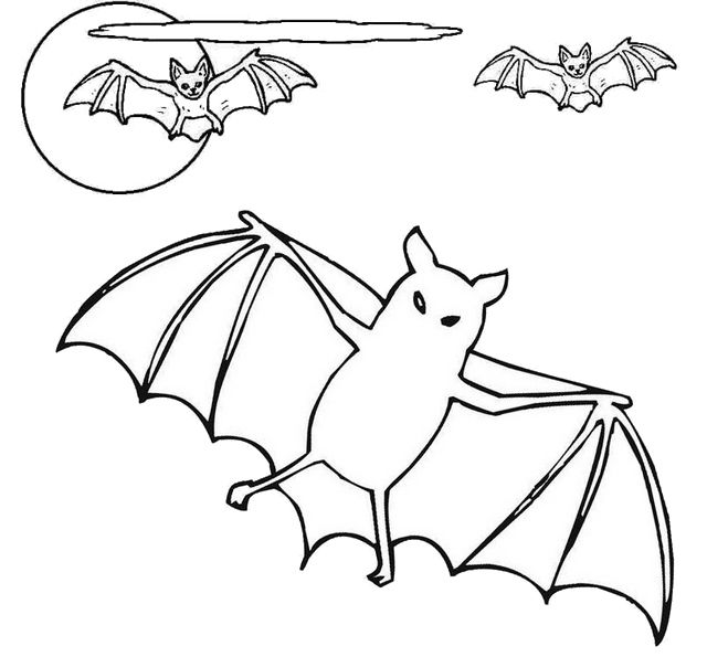 best bat animal coloring page for kids Animal coloring pages Bat