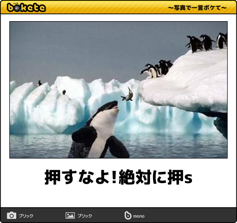 押すなよ 絶対に押s Teamwork Funny Funny Video Memes Boring Pics 押すなよ 絶対に押s Teamwork Funny Funny Video Memes Boring Pics