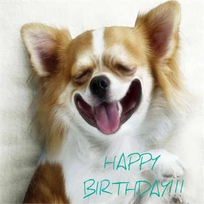Wir Wunschen Dir Alles Gute Zum Schlupftag Alles Gute Zum