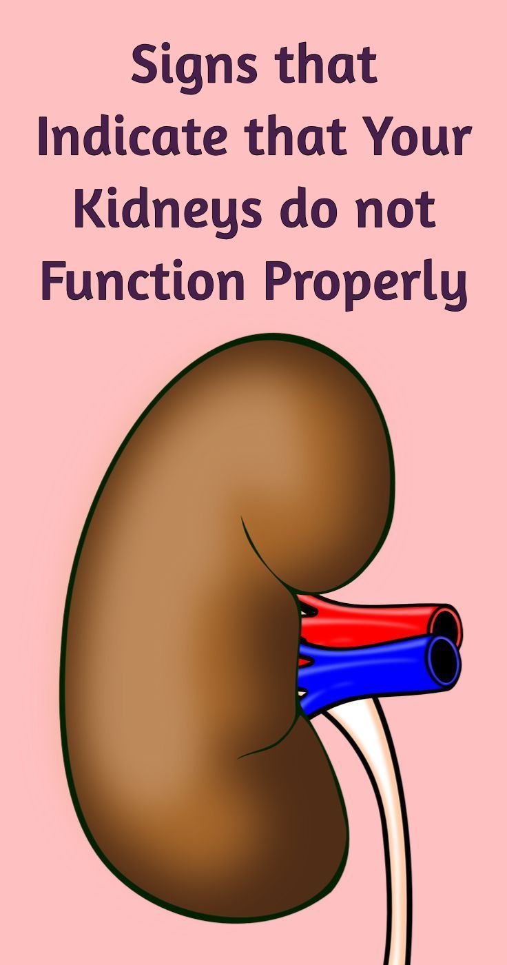 If The kidneys Do Not Function Properly Then Your Blood Will Not Be if-the-kidneys-do-not-function-properly-then-your-blood-will-not-be
