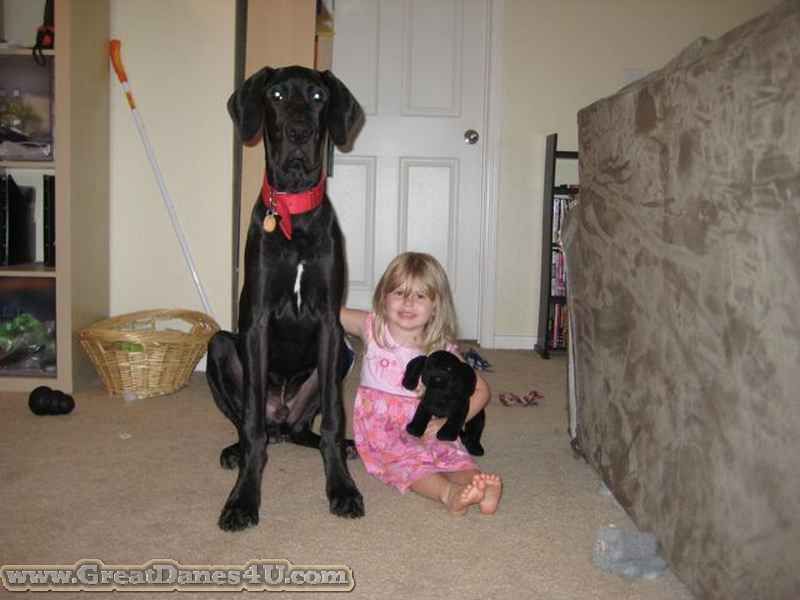 Stephanie S Sampson In S C Loves His Family And Is A Great