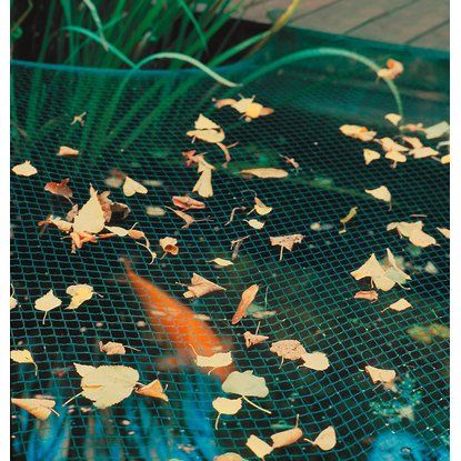 OBI Jezírková síť 10 m x 4 m včetně kotev nakoupit u OBI 499kc Obi, Garden Pond Design, Plant Leaves, Nature, Plants, Beautiful, Google, Fonts, Dekoration