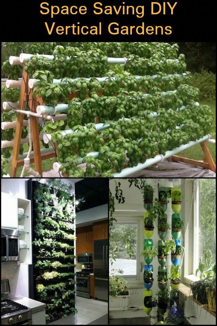 Lack of Space or Money Should Not Keep You From Growing Your Own