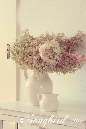 Fall decoration with dried hydrangea