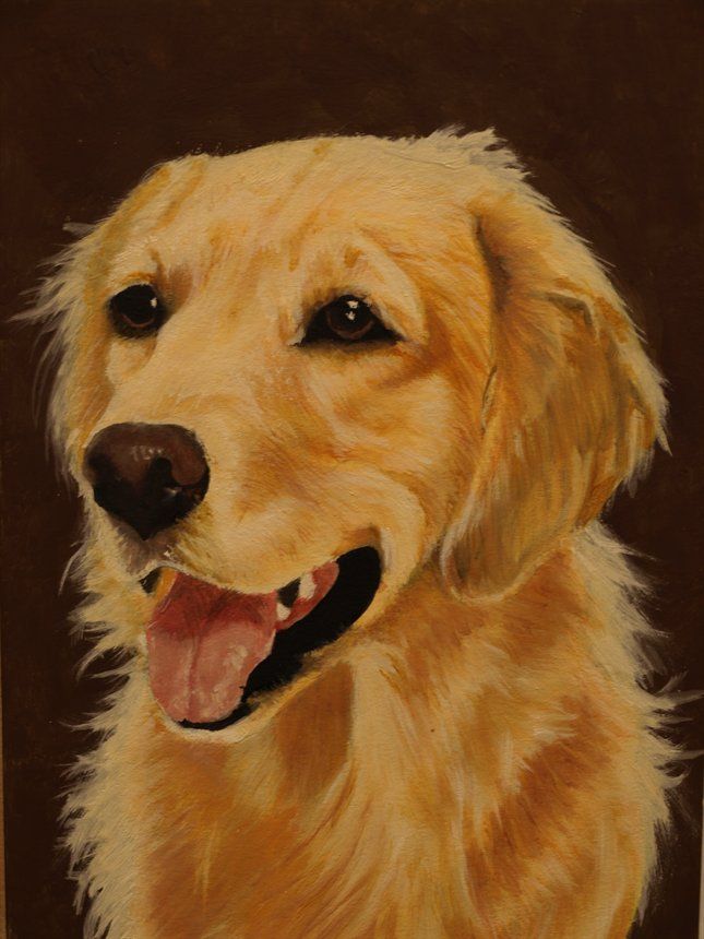 golden retriever by carss66 | Golden 