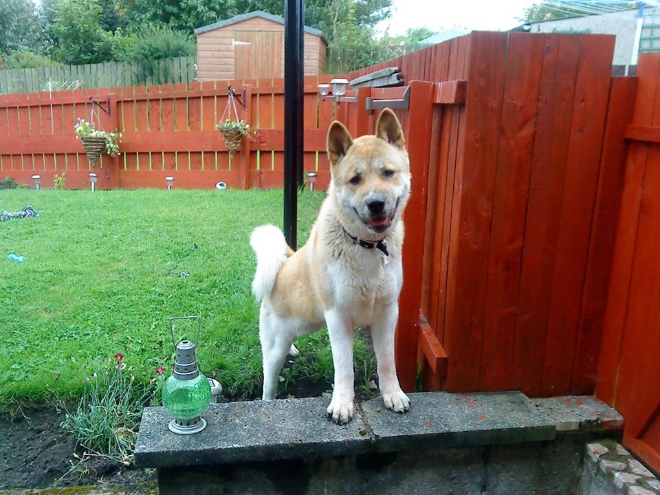 Dakota My Beautiful Angel Rip Baby Girl Love You Mum Xxxxx Love
