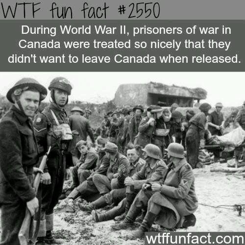 World War Canadas Prisoners Fun Facts World War Canadas Prisoners Fun Facts