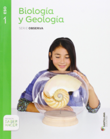 19 Ideas De Solucionarios De 1 Eso En 2021 Ejercicios Resueltos Lengua Y Literatura Lengua Castellana
