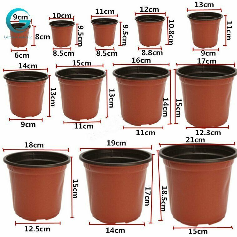 Plastic Plant Flower Pots Nursery Seedlings Pot Plant 100Pcs EBay In 
