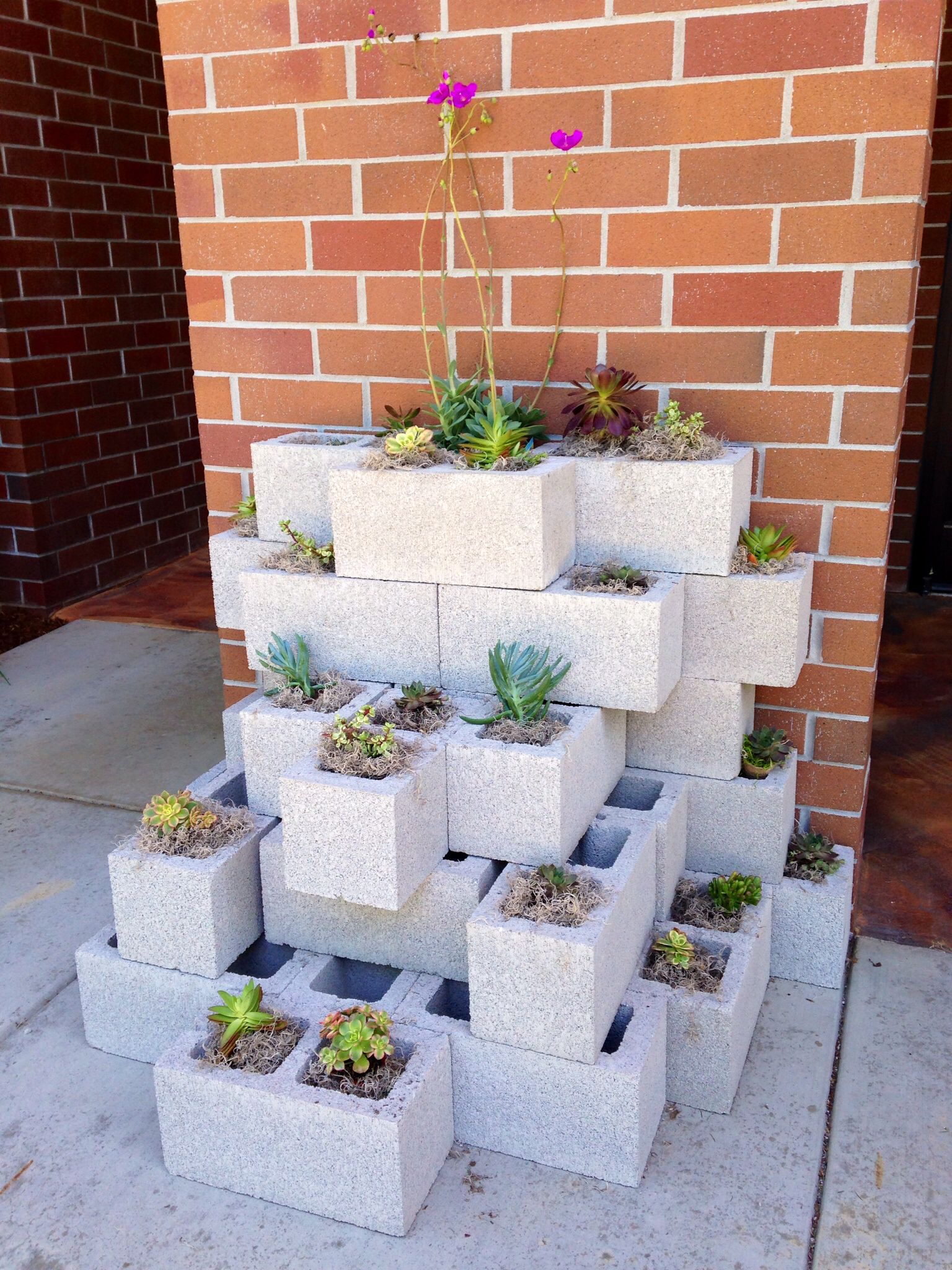 A DIY Cinder Block Succulent Wall with a Twist