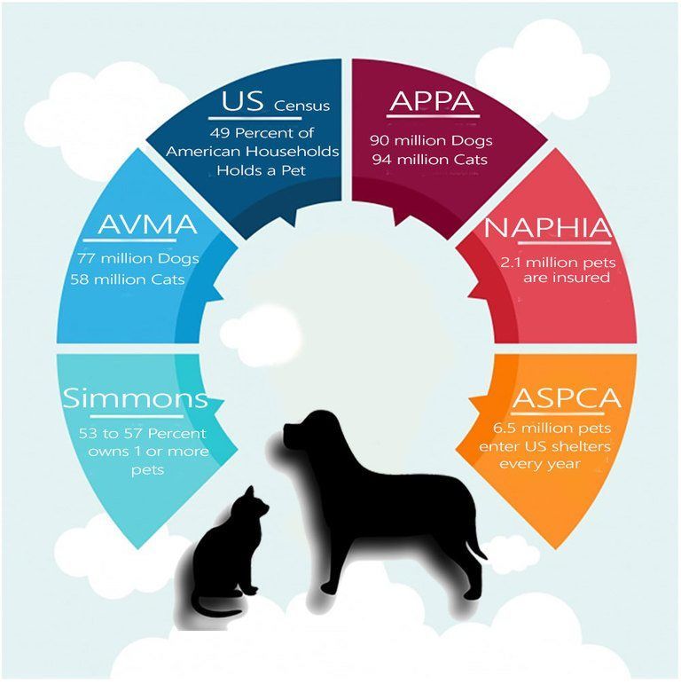 US Pet Ownership Statistics 2018/2019 Daily Dog Stuff