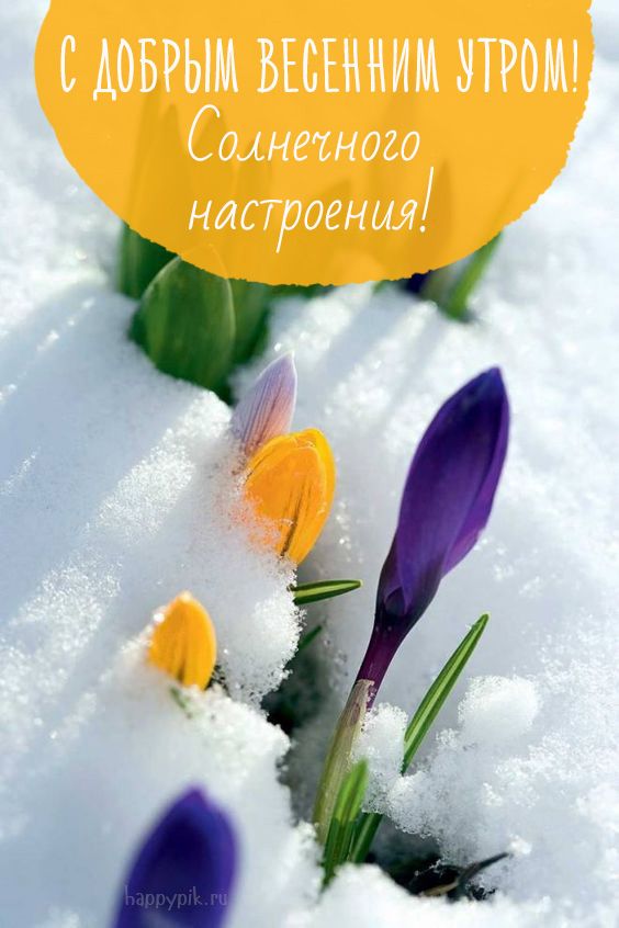 Dobrogo Utra S Izobrazheniyami Illyustracii Solnechnaya