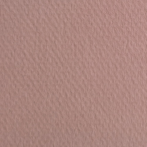 002fc782d0709c5c350e1f5b24d6cd0fdc7a69e3 Canson, Different Textures, Sensuous, Art Techniques, Art Supplies, Orchids, Fine Art, Drawings, Sketches