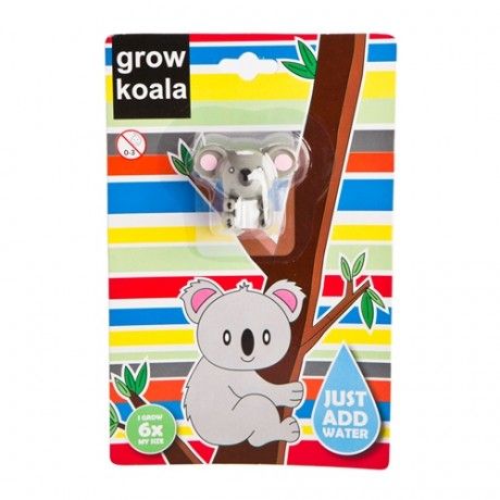 GROW A KOALA | Koala, Kids playing, Novelty toys