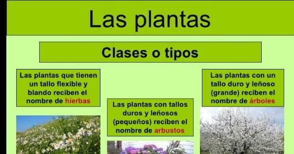 Tobias Arce Arce5685 Perfil Pinterest